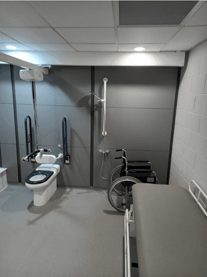 Ceiling track hoist in a Changing Rooms bathroom (1) Ceiling track hoist in a Changing Rooms bathroom (1)